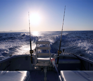 Cabo Fishing: Bountiful Waters And Beautiful Scenery