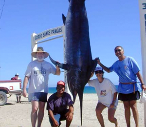 Big Game Fishing in Cabo San Lucas