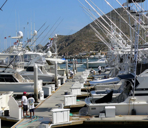 Cabo Fishing Regulations